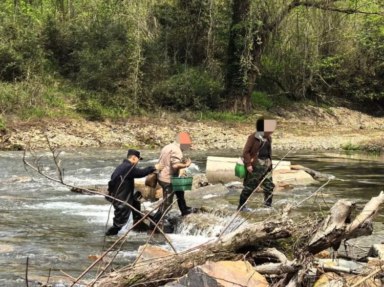河水突涨茶农被困……后续来了 河水突涨茶农被困……后续来了