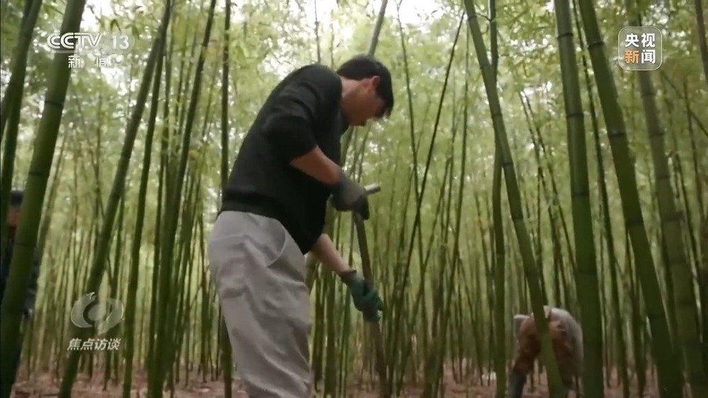 钱袋子如何鼓起来 “十五五”规划纲要明确三大方向