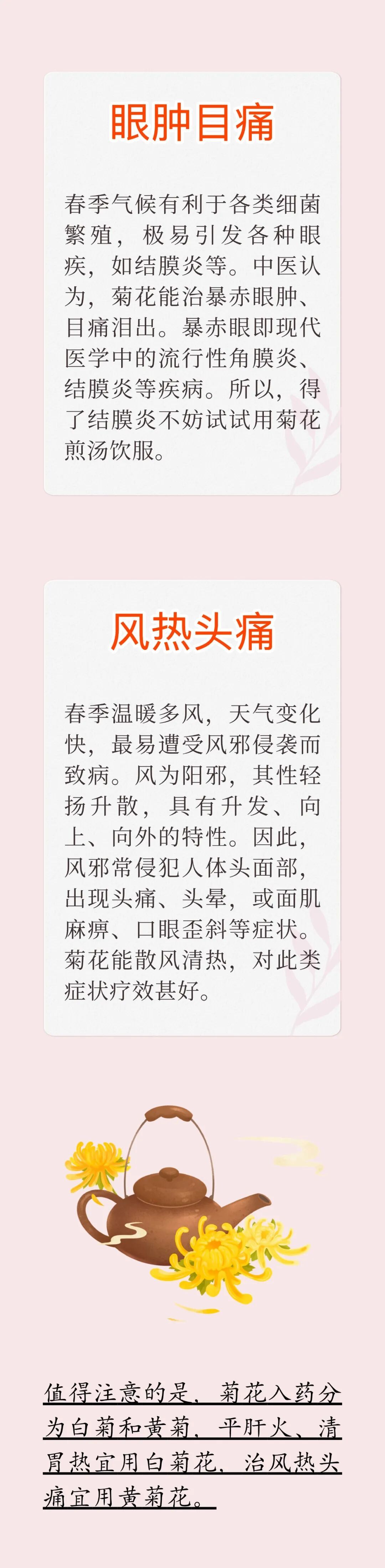 菊花配上它,对肝特别好!每天一杯,肝火小、眼睛亮,现在知道还不晚 菊花配上它,对肝特别好!每天一杯,肝火小、眼睛亮,现在知道还不晚