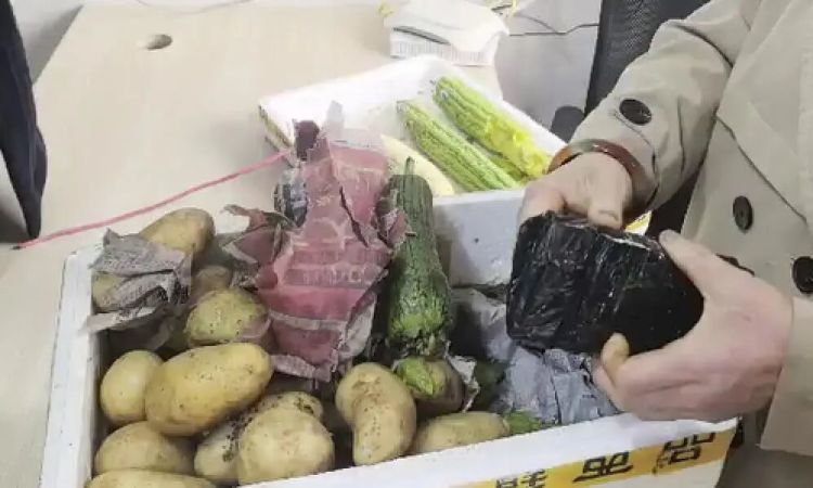 土豆箱里藏8.4万现金！这不是脑洞大开的剧情