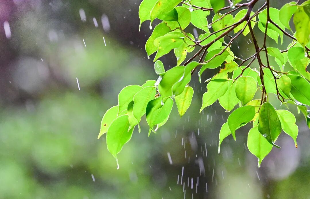 广州新一轮降雨时间确定，还要降温