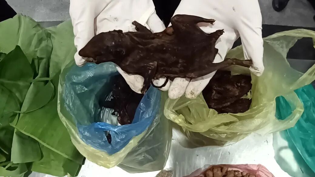 福州机场海关在一进境航班托运行李中查获老鼠干，旅客称系带给国内亲友的“特产”