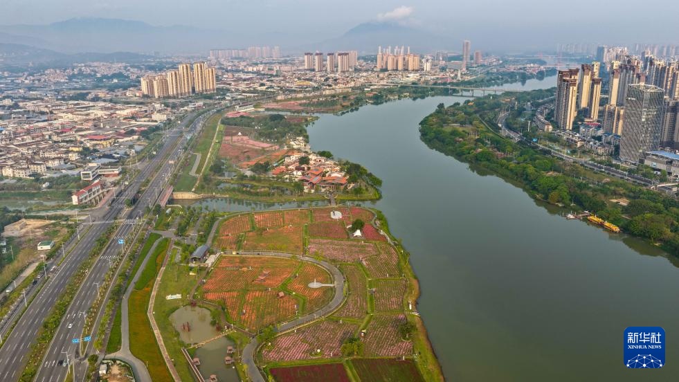 福建漳州:岸线焕新 城市更新 福建漳州:岸线焕新 城市更新