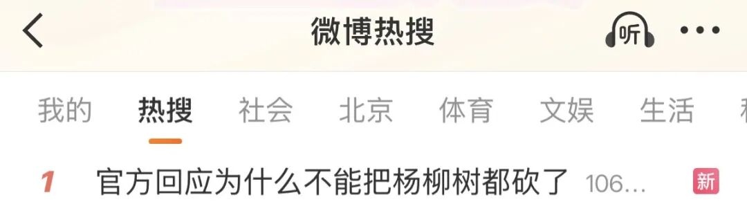 毛毛毛毛毛……这么多飞絮为啥不能把杨柳树都砍了？官方回应