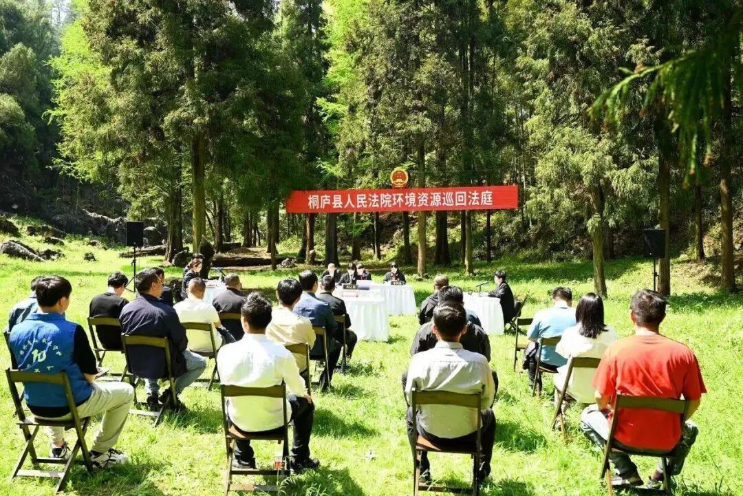 杭州首例 李某某利用改装无人机非法狩猎 法院判了