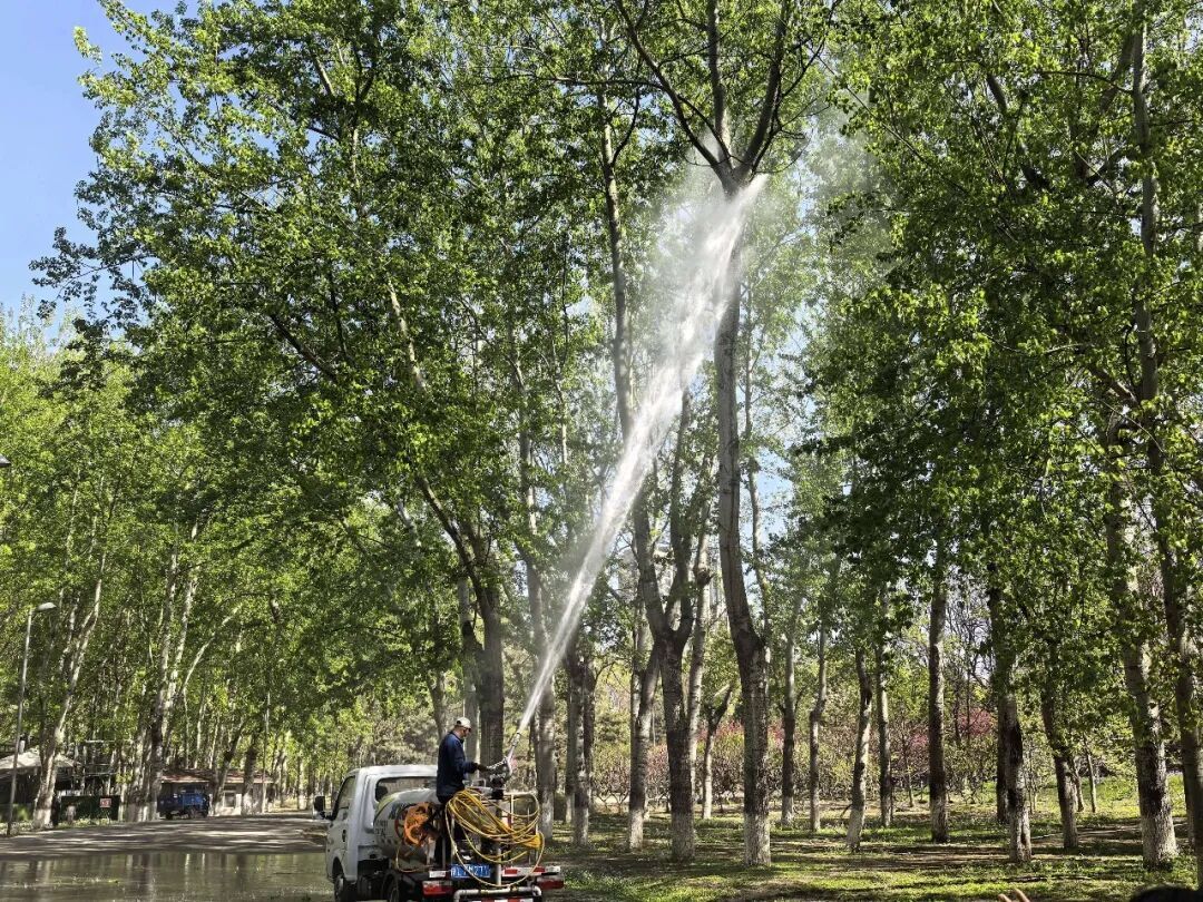 飞絮来了，北京首次启动实时监测预报