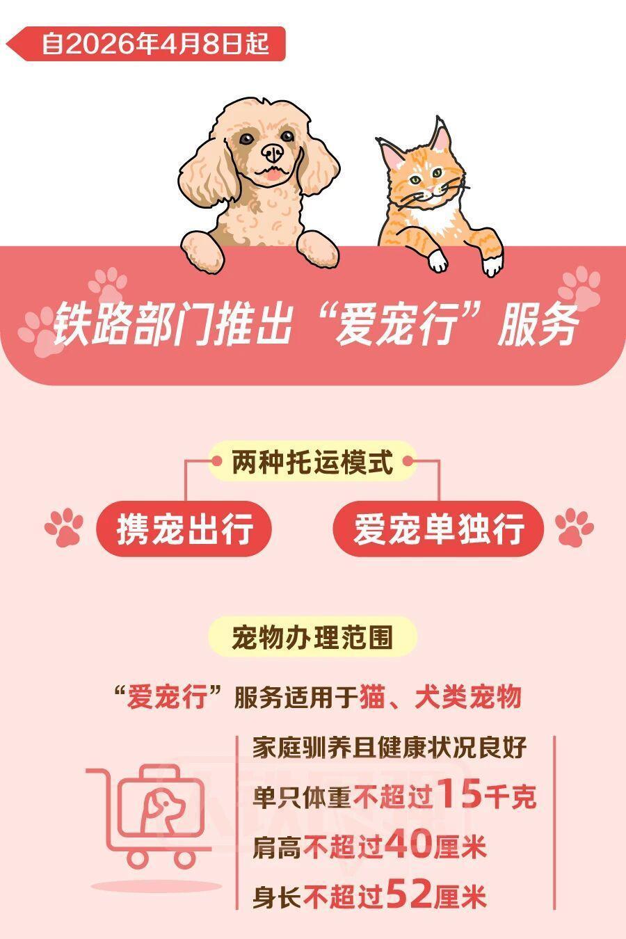 铁路宠物托运升级 它们可以独自“坐”高铁了
