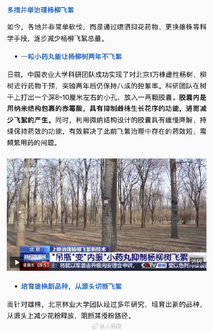 官方回应为啥不能把杨柳树都砍了