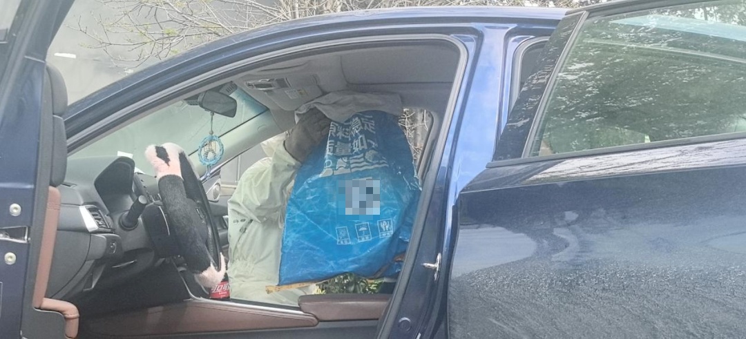 停车未关车窗10分钟，男子回来时傻眼：车内闯入一群蜜蜂，正在筑巢