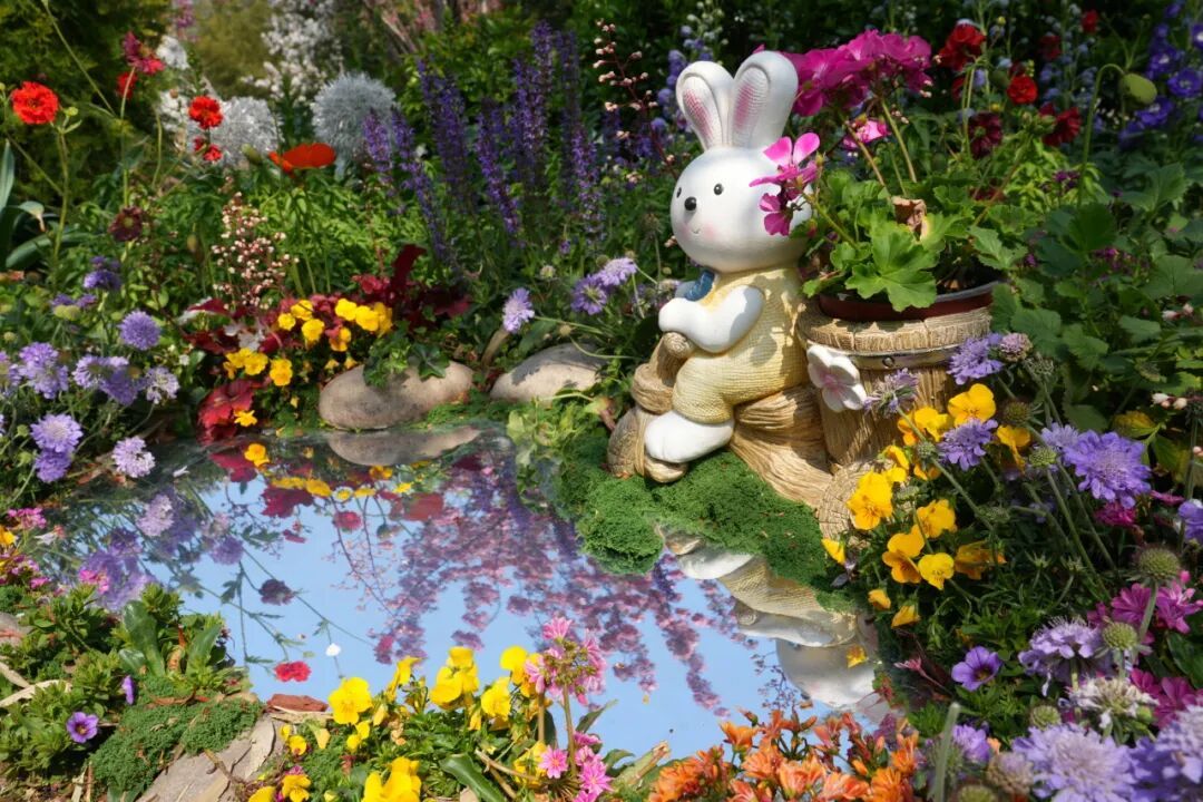 真·北京赏花“顶流”！这里的晚樱终于迎来最佳观赏期！预计持续时间——