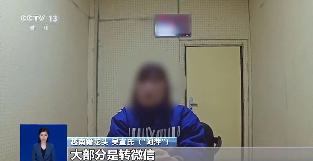两名16岁少年非法入境越南，牵出跨境偷渡链条 47人落网