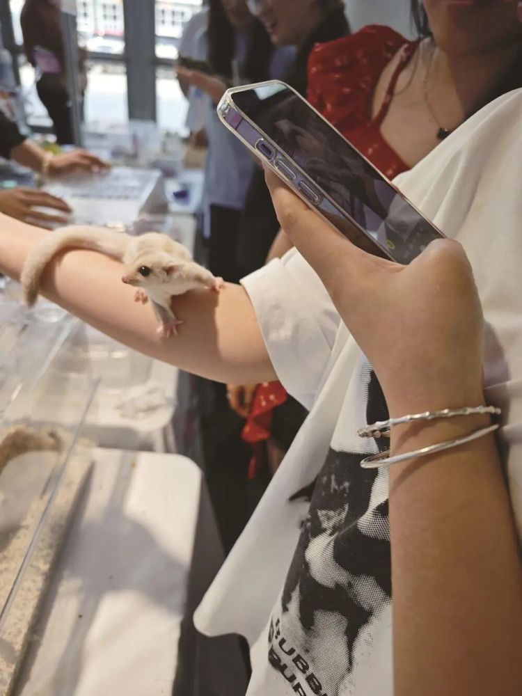 突然爆火!一大批年轻人开始养这类宠物!主打一个“低打扰、高治愈” 突然爆火!一大批年轻人开始养这类宠物!主打一个“低打扰、高治愈”