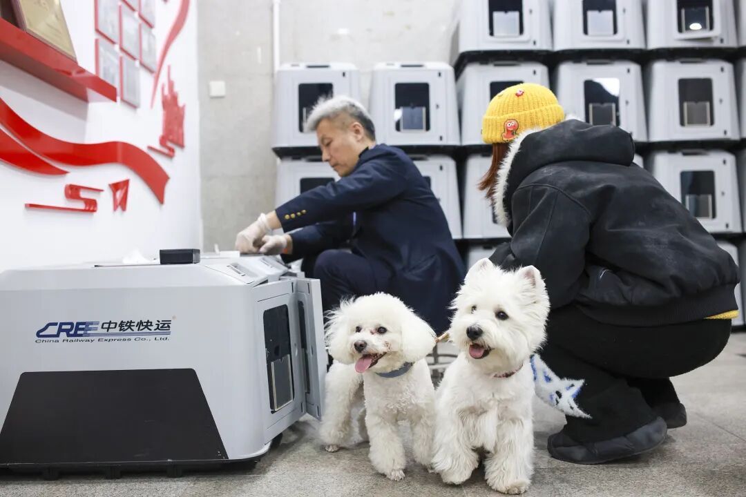 铁路宠物托运服务迎来重大升级！它们可以独自“坐”高铁了