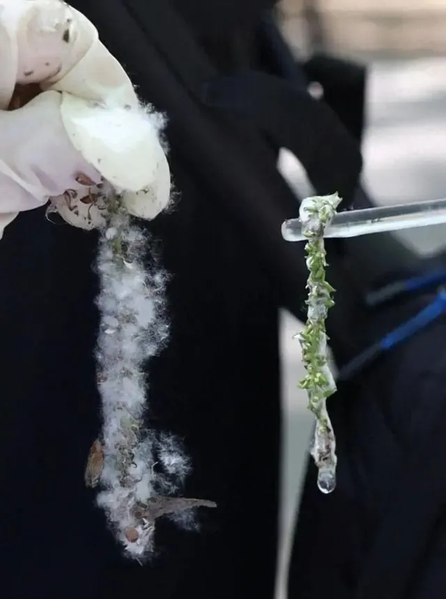 “以为是感冒,吃药却不见好!”浙江有医院一天接诊超400例:真的别硬扛 “以为是感冒,吃药却不见好!”浙江有医院一天接诊超400例:真的别硬扛