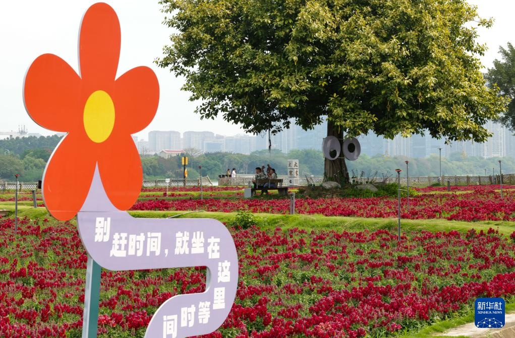 福建漳州:岸线焕新 城市更新 福建漳州:岸线焕新 城市更新