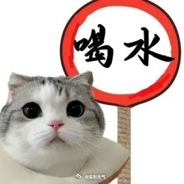 天气即将反转！深圳将迎新一轮降雨