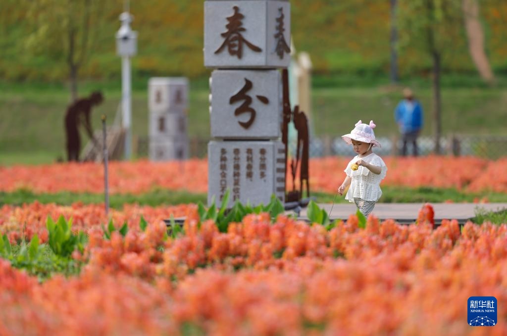 福建漳州:岸线焕新 城市更新 福建漳州:岸线焕新 城市更新