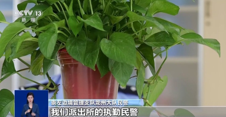 两少年非法入境越南牵出跨境偷渡黑色链条 中越合力追查