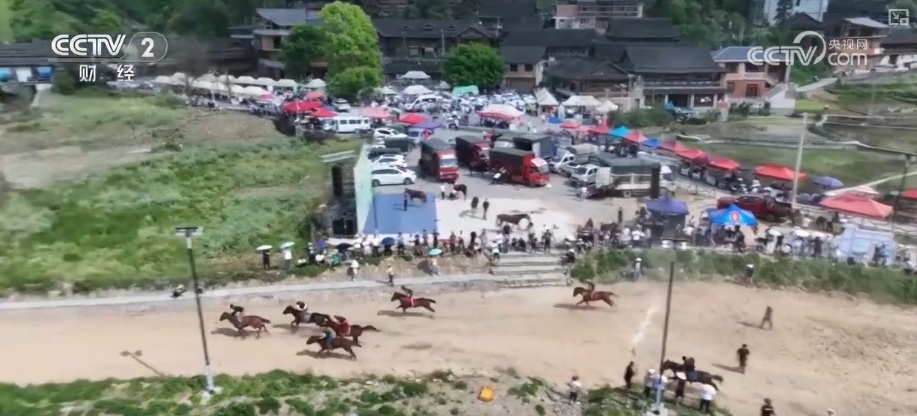 “办一场赛、热一座城、活一方经济” 多样化观赛链条齐发力打造消费“盛宴”