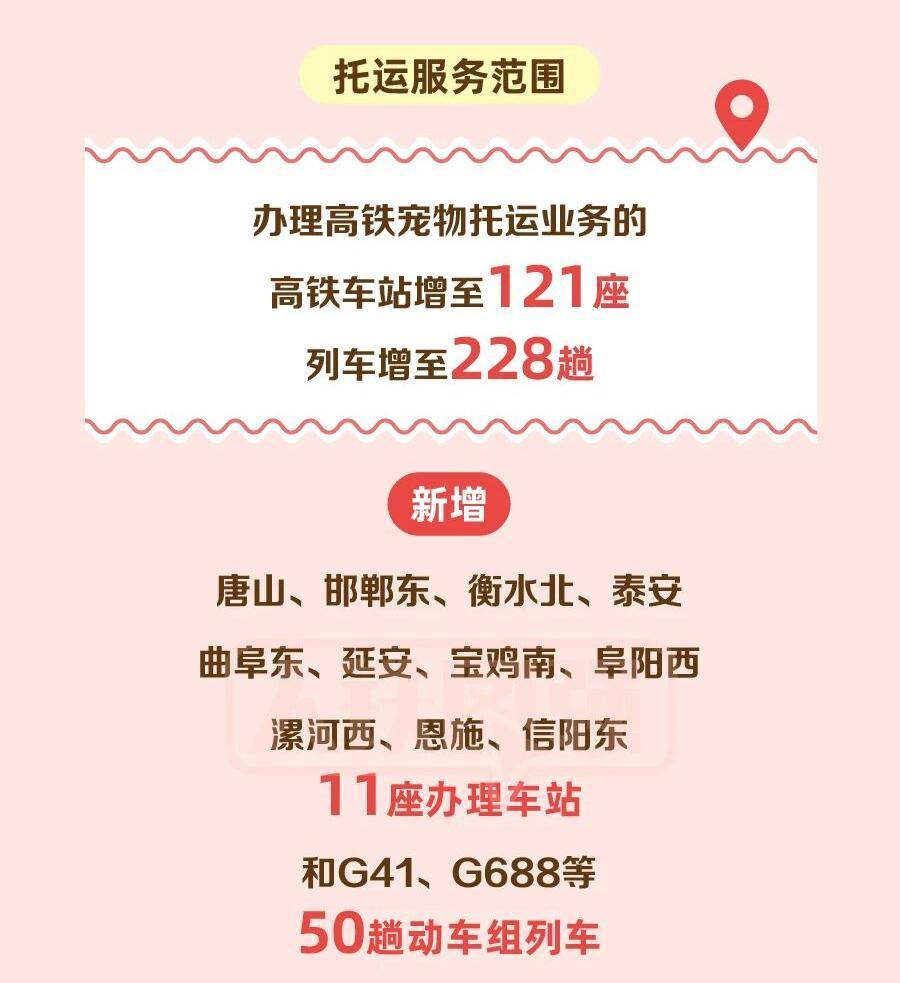 铁路宠物托运升级 它们可以独自“坐”高铁了