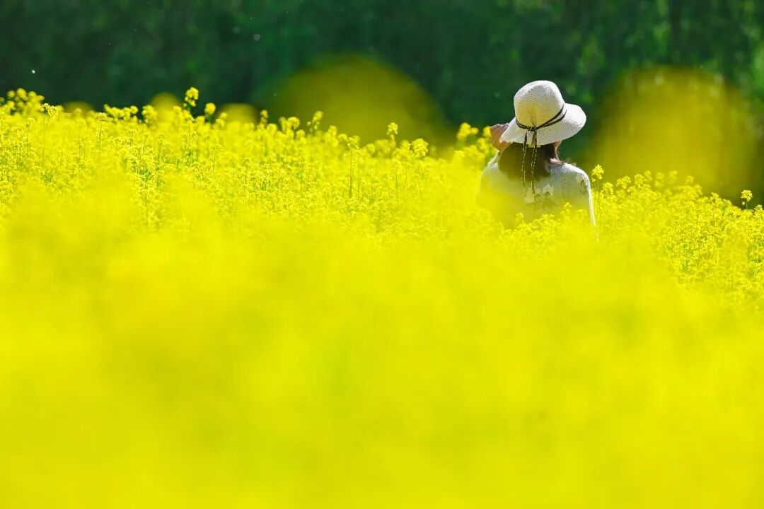明天，辽宁正式入春！