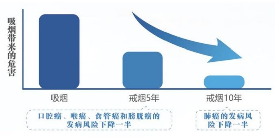 国家版“防癌说明书”来了！一半内容与吃有关......（建议收藏转发）