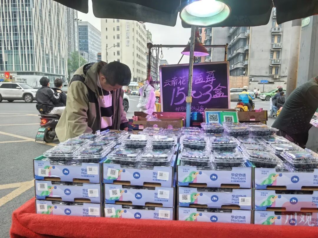 10元两盒！蓝莓价格大跳水，“未来可能还会降价”