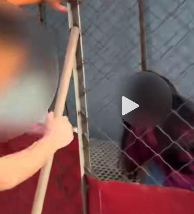 又是摆拍!警方通报:5名嫌疑人落网 又是摆拍!警方通报:5名嫌疑人落网