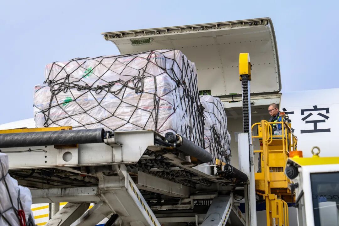 南京，再添一条新航线！