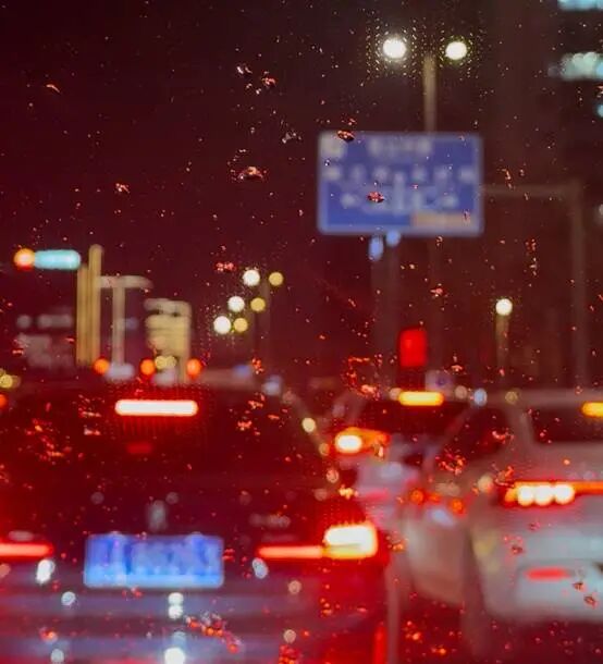 辽宁官宣入春，就在明天！但大部分地区有雨……