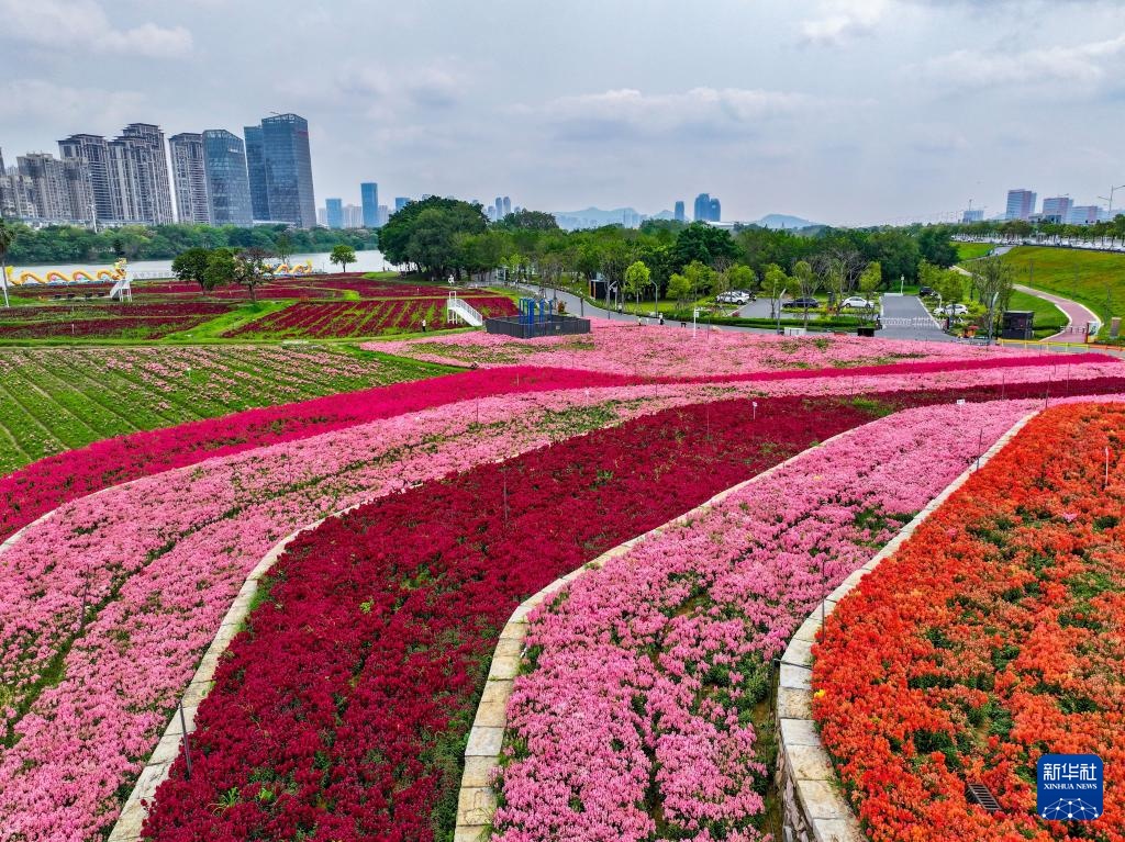 福建漳州:岸线焕新 城市更新 福建漳州:岸线焕新 城市更新