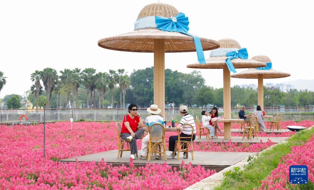 福建漳州:岸线焕新 城市更新 福建漳州:岸线焕新 城市更新