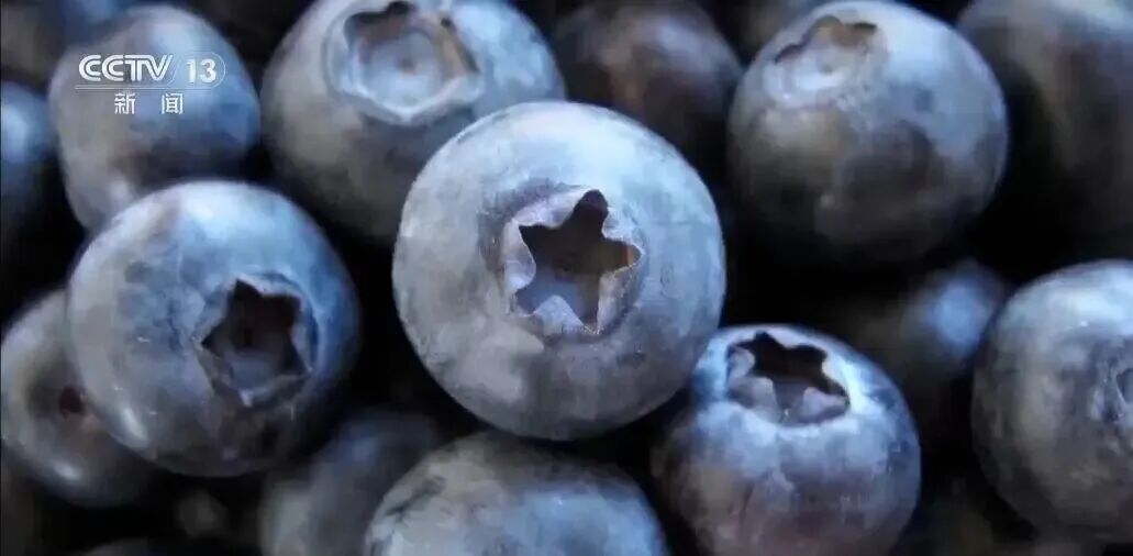 每天半斤，连吃两天，女子胃底被硬块堵死！这种水果千万别乱吃