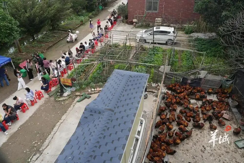 老莫又圈粉了,这次和鸡煲没有关系 老莫又圈粉了,这次和鸡煲没有关系