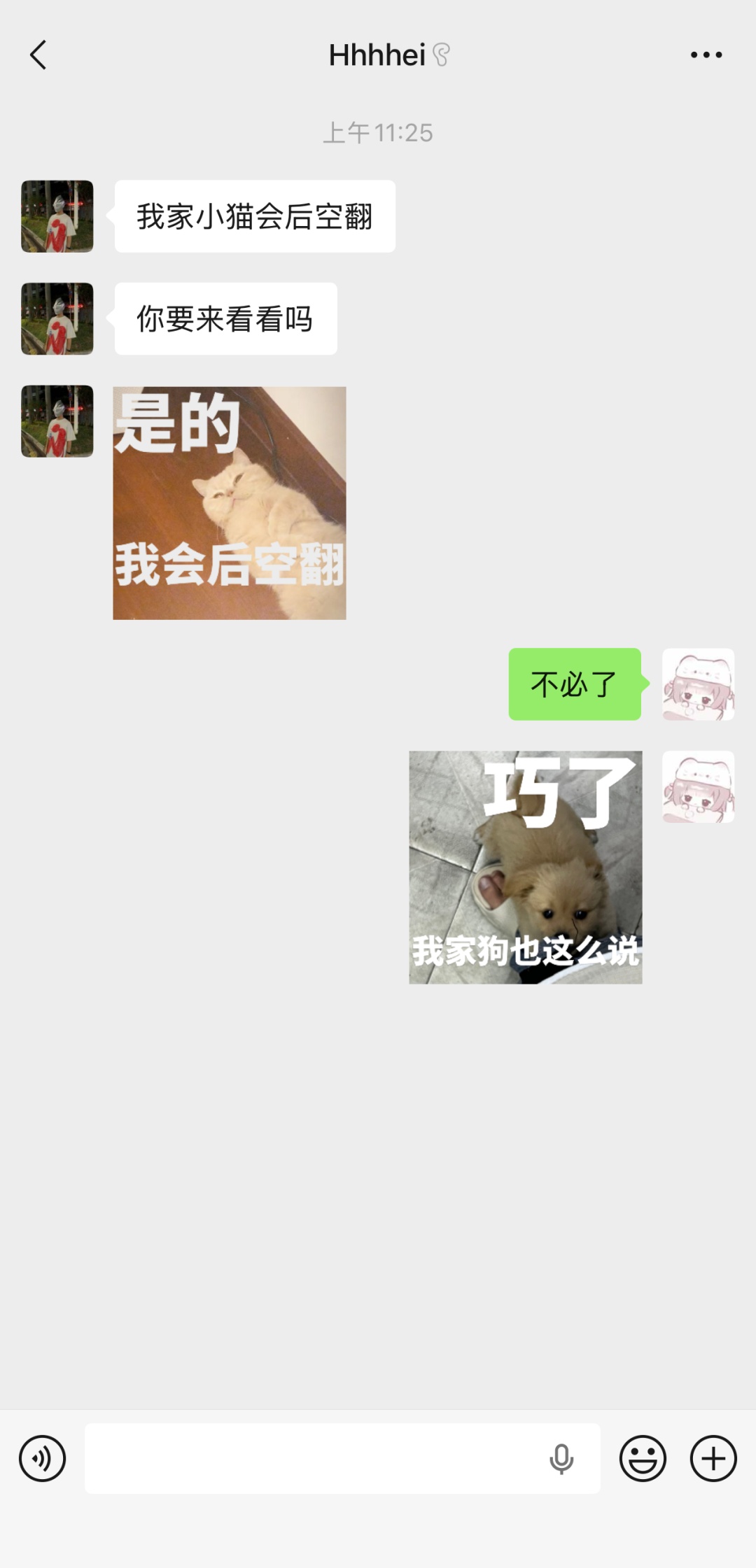 微信新功能上线！网友：太好玩了