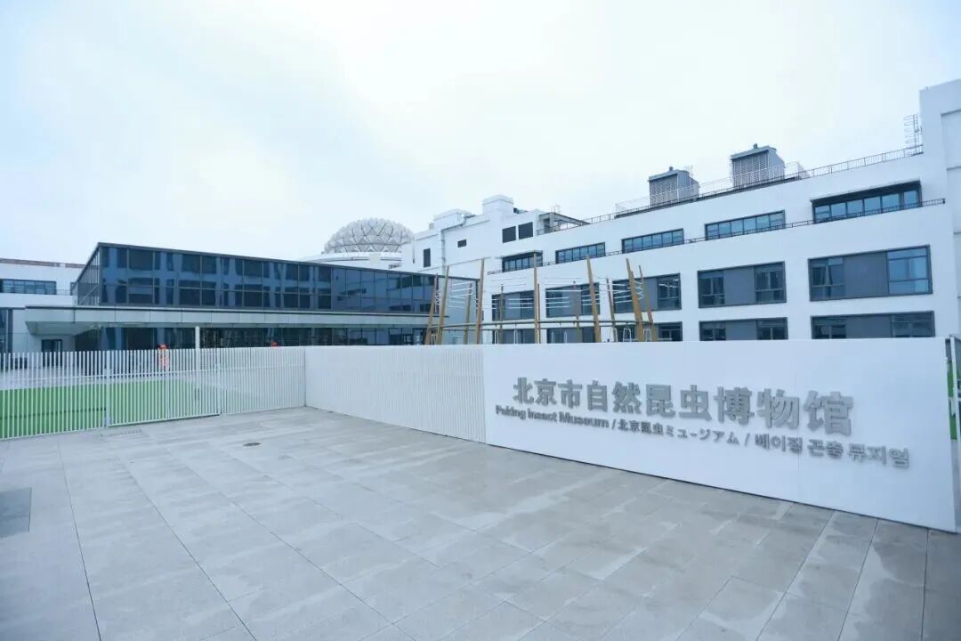北京新开一座博物馆！孩子真的会喜欢