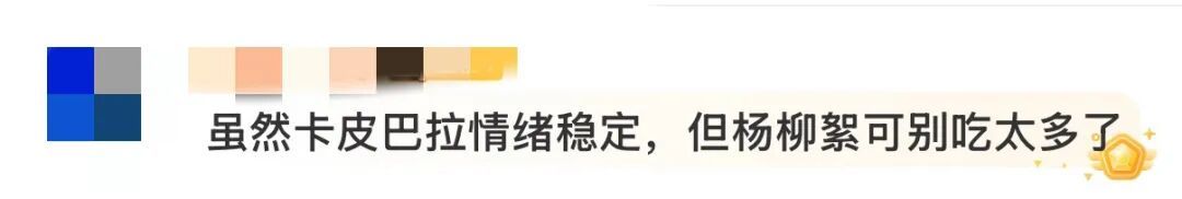 “水豚情绪稳定吃杨絮” 上热搜！网友操碎了心...