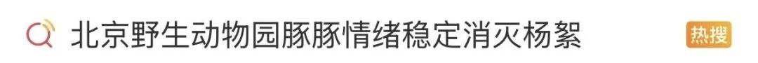 “水豚情绪稳定吃杨絮” 上热搜！网友操碎了心...