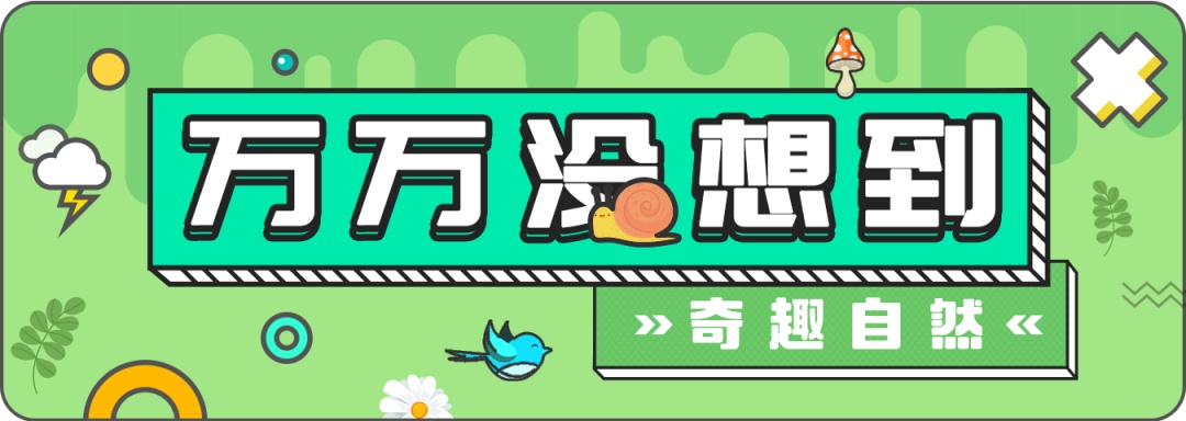 飞絮又来糊脸了，杨柳树为什么不能“一砍了之”？