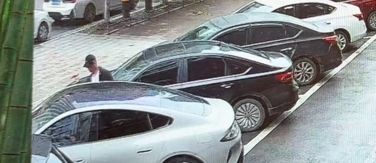 男子街头持刀划车,宰杀鸽子洒血涂抹车身!警方:已立案调查 男子街头持刀划车,宰杀鸽子洒血涂抹车身!警方:已立案调查