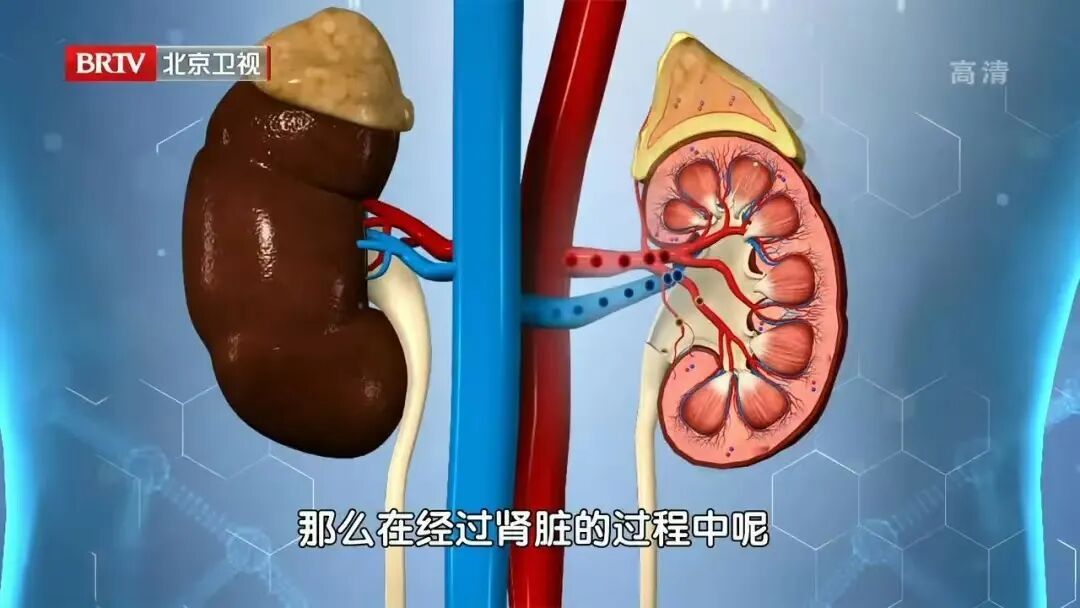 4个晚餐习惯,让大脑变傻、炎症失控、血糖飙升,很多人还天天踩坑 4个晚餐习惯,让大脑变傻、炎症失控、血糖飙升,很多人还天天踩坑