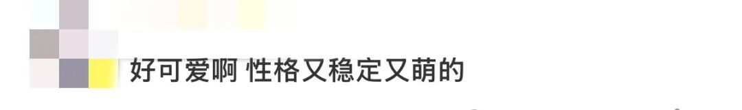 “水豚情绪稳定吃杨絮” 上热搜！网友操碎了心...