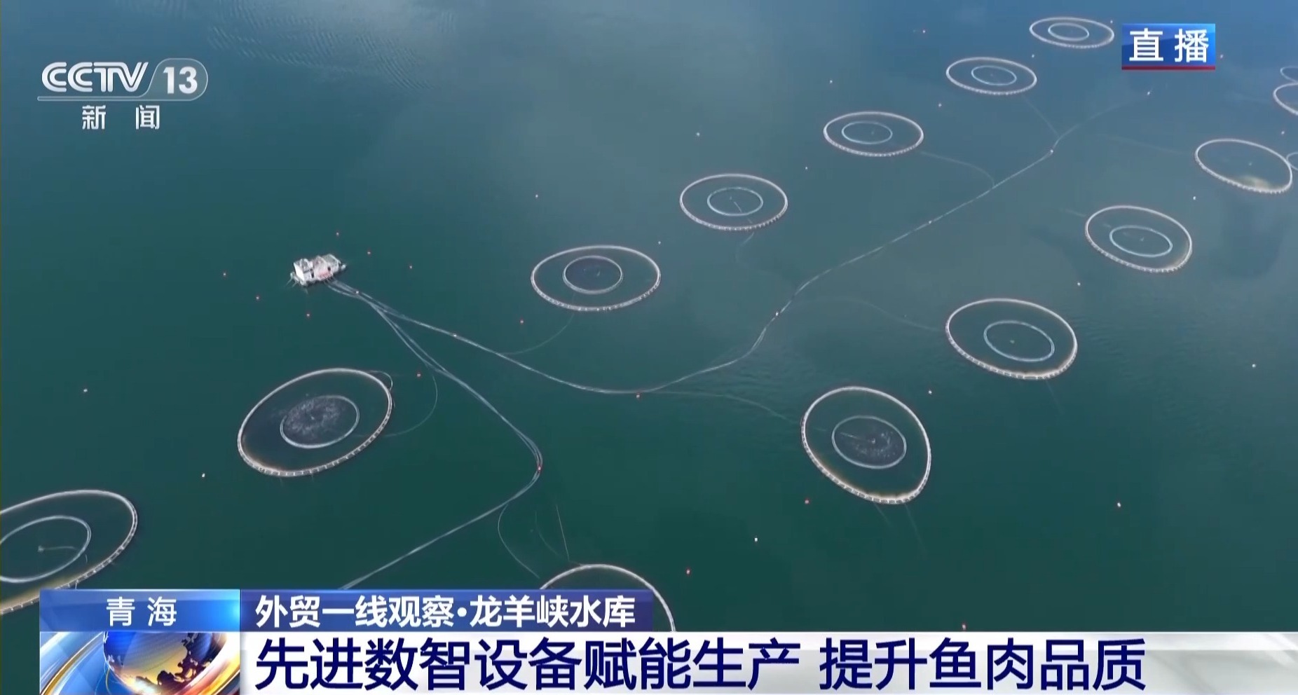 基础稳、活力足、动能强 三个关键词读懂我国一季度外贸成绩单