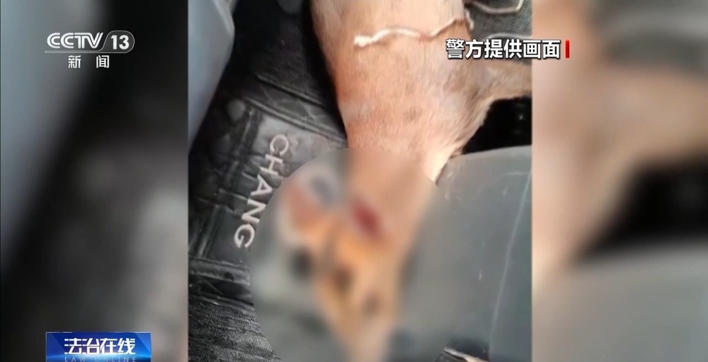 法治在线丨改装无人机非法狩猎野生动物 法院判了