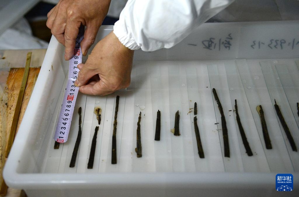 失传1800余年 齐《论语·智道》简首次对外展出