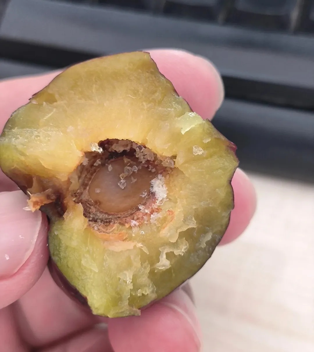 同样是水果,大的好还是小的好?答案来了→ 同样是水果,大的好还是小的好?答案来了→