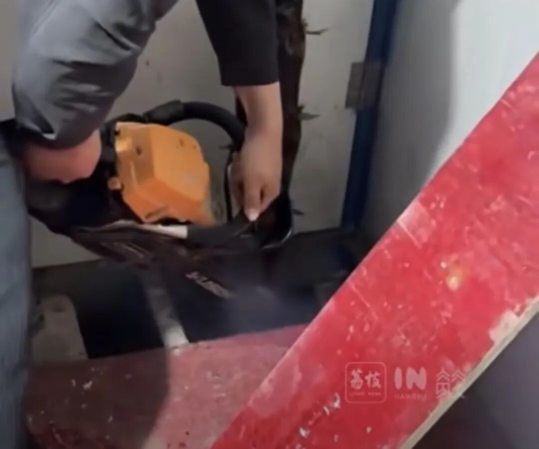 真·笋到家了!水泥地被顶破了,挖开一看,全是竹笋… 真·笋到家了!水泥地被顶破了,挖开一看,全是竹笋…