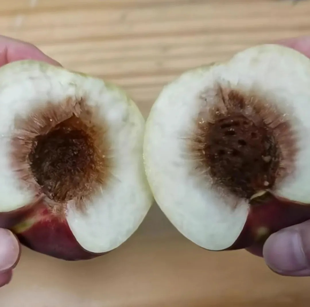 同样是水果,大的好还是小的好?答案来了→ 同样是水果,大的好还是小的好?答案来了→