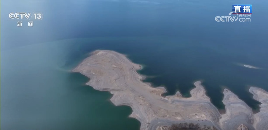 外贸一线观察 | 高原“冷资源”有“热优势” 青海外贸实现逆势“突围” 外贸一线观察 | 高原“冷资源”有“热优势” 青海外贸实现逆势“突围”