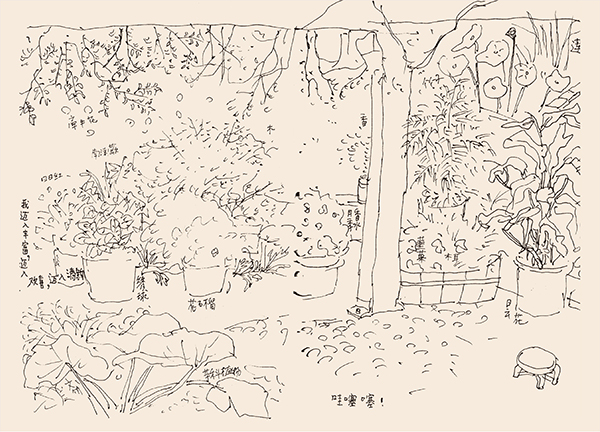 对话国际安徒生奖得主蔡皋：无论年龄，一定要保护自己的心